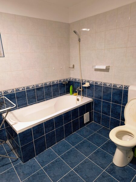 Zetari Inchiriez casa,